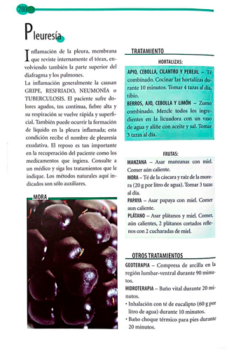 VIVA MEJOR | GUÍA PARA APRENDER A COMER MEJOR - Image 4